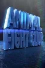 Watch Animal Fight Club  Sockshare