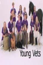 Watch Young Vets Sockshare