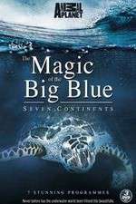 Watch The Magic of the Big Blue Sockshare