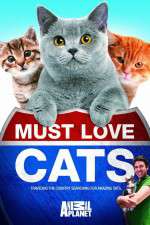 Watch Must Love Cats Sockshare