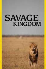 Watch Savage Kingdom Sockshare