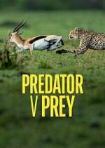 Watch Predator v Prey Sockshare