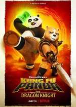Watch Kung Fu Panda: The Dragon Knight Sockshare
