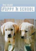 Watch Dog Squad: Puppy School Sockshare