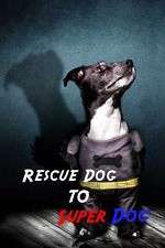 Watch Rescue Dog to Super Dog Sockshare