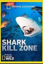 Watch Shark Kill Zone Sockshare