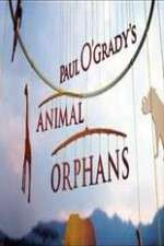 Watch Paul O'Grady's Animal Orphans Sockshare