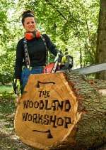 Watch The Woodland Workshop Sockshare