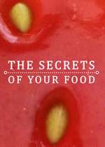 Watch The Secrets of Your Food Sockshare