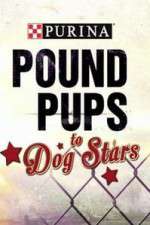 Watch Purina Pound Pups To Dog Stars Sockshare