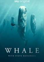 Watch Whale with Steve Backshall Sockshare