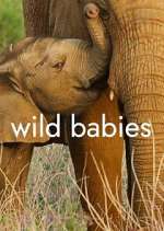 Watch Wild Babies Sockshare