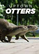 Watch Uptown Otters Sockshare