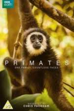 Watch Primates Sockshare