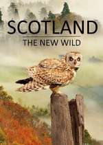 Watch Scotland - The New Wild Sockshare