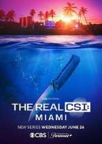 Watch The Real CSI: Miami Sockshare