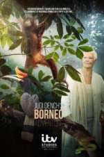 Watch Judi Dench\'s Wild Borneo Adventure Sockshare