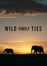 Watch Wild Family Ties Sockshare