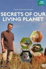 Watch Secrets of Our Living Planet Sockshare