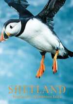 Watch Shetland: Scotland's Wondrous Isles Sockshare