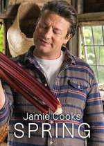 Watch Jamie Cooks Spring Sockshare