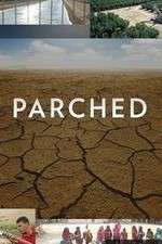 Watch Parched Sockshare