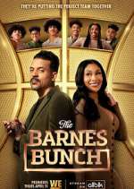 Watch The Barnes Bunch Sockshare