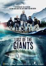Watch Last of the Giants: Wild Fish Sockshare