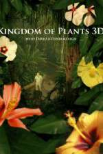 Watch Kingdom of Plants 3D Sockshare