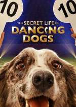 Watch The Secret Life of Dancing Dogs Sockshare