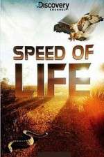 Watch Discovery Channel Speed Of Life Sockshare