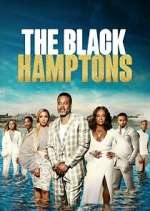 Watch Carl Weber's The Black Hamptons Sockshare