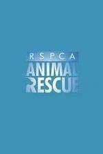 Watch RSPCA Animal Rescue Sockshare