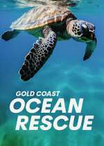 Watch Gold Coast Ocean Rescue Sockshare
