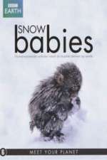 Watch Snow Babies Sockshare