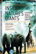 Watch Inside Nature's Giants Sockshare