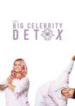 Watch The Big Celebrity Detox Sockshare