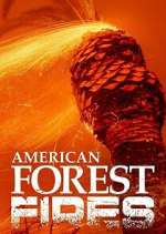 Watch American Forest Fires: The Untold Story Sockshare
