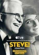 Watch STEVE! (martin) a documentary in 2 pieces Sockshare