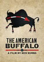 Watch The American Buffalo Sockshare