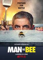 Watch Man Vs Bee Sockshare