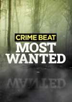 Watch Crime Beat: Most Wanted Sockshare