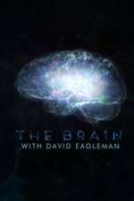 Watch The Brain with Dr David Eagleman Sockshare