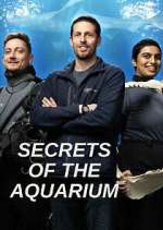Watch Secrets of the Aquarium Sockshare