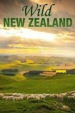 Watch Wild New Zealand Sockshare